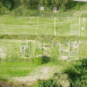 Tarjantie palstavuokra 1 aari